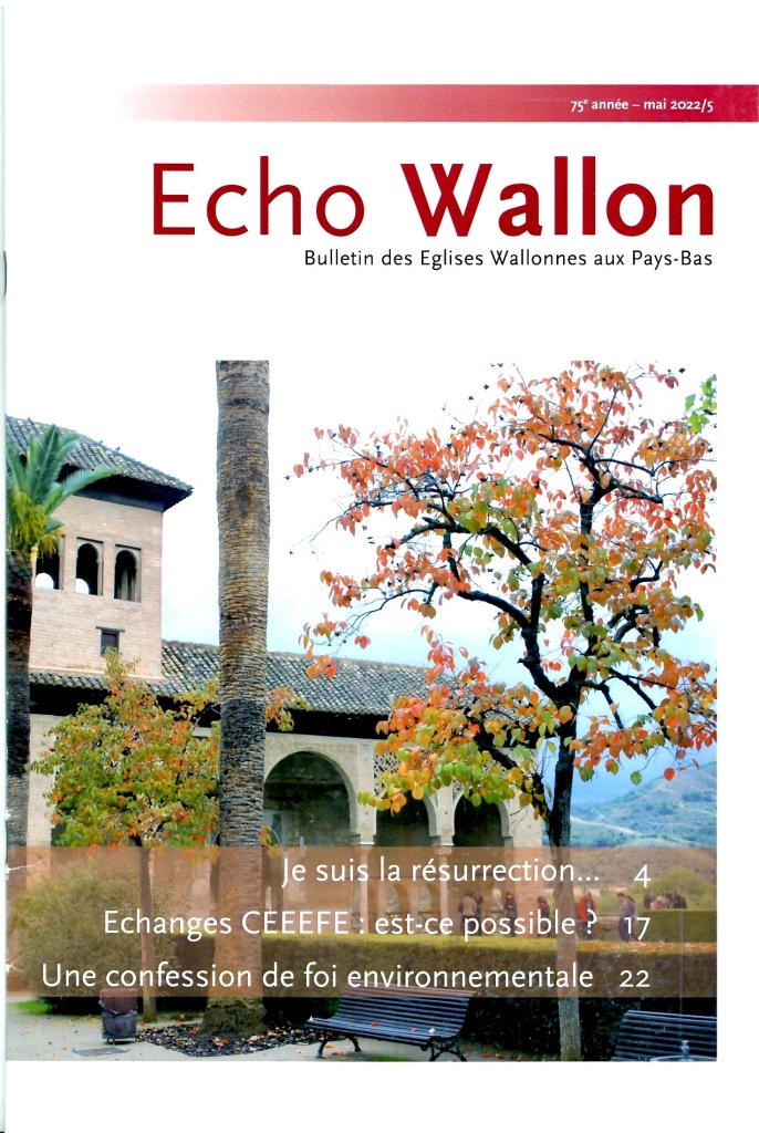 Echo wallon